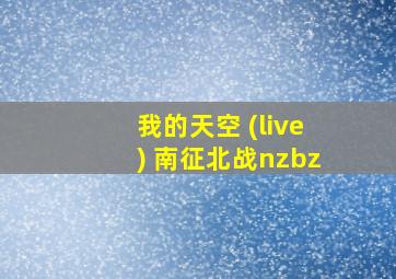 我的天空 (live) 南征北战nzbz